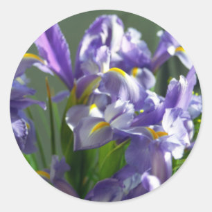 Purple Irises Flower Art Sticker Decals