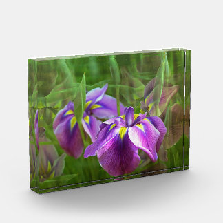 Purple Irises in Motion Photo Block