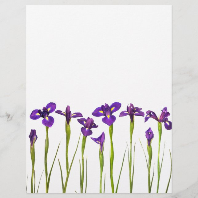 Purple Irises - Iris Flower Customised Template (Front)