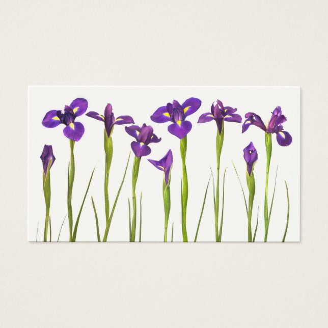 Purple Irises - Iris Flower Customised Template (Front)
