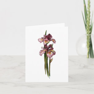 Purple Irises Note Card