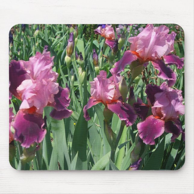 Purple Irises Spring Floral Mouse Pad (Front)