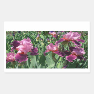 Purple Irises Spring Floral Rectangular Sticker