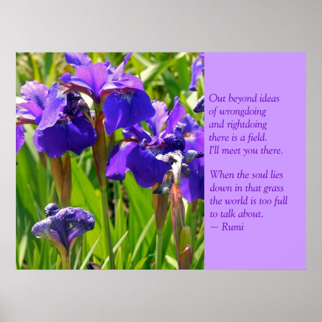 Purple Irises With Rumi Quote Poster (Front)