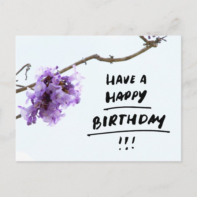 Purple Jacaranda Flowers Birthday  Postcard (Front)