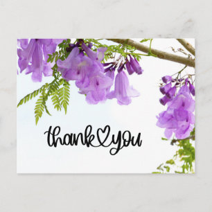 Purple Jacaranda Flowers Thank you Postcard