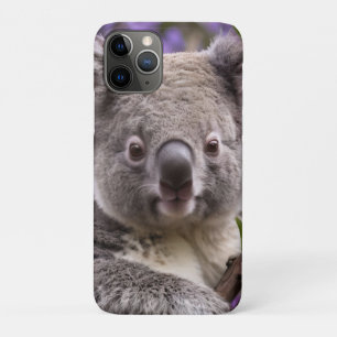 Purple Jacaranda Koala Bear, Case-Mate iPhone Case