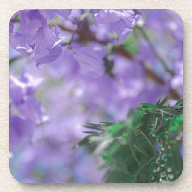 Purple Jacaranda Tree Flowers Coaster (Front)