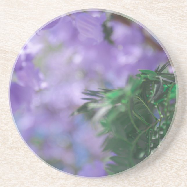 Purple Jacaranda Tree Flowers Coaster (Front)