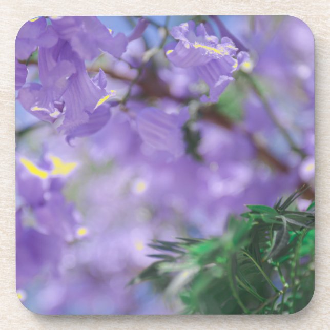 Purple Jacaranda Tree Flowers Coaster (Front)