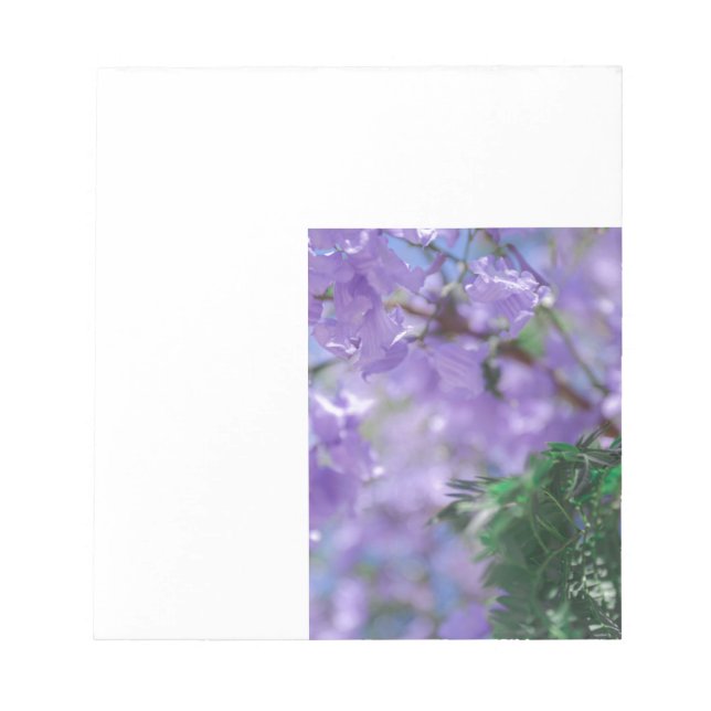 Purple Jacaranda Tree Flowers Notepad (Front)