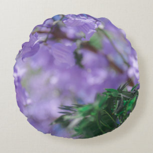 Purple Jacaranda Tree Flowers Round Cushion