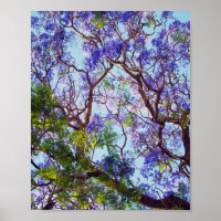 Purple Jacaranda Tree Oil Painting,