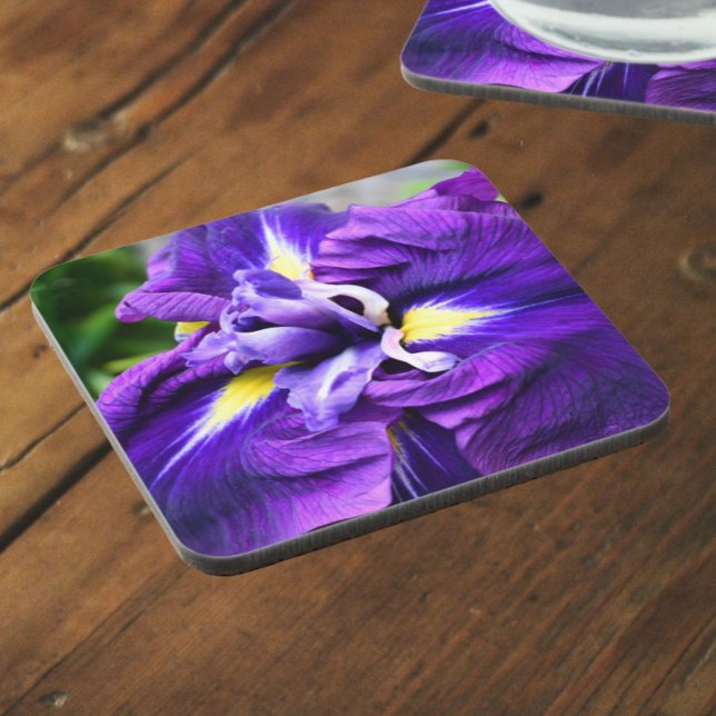 Purple Japanese Iris Bloom Floral Coaster (In Situ)