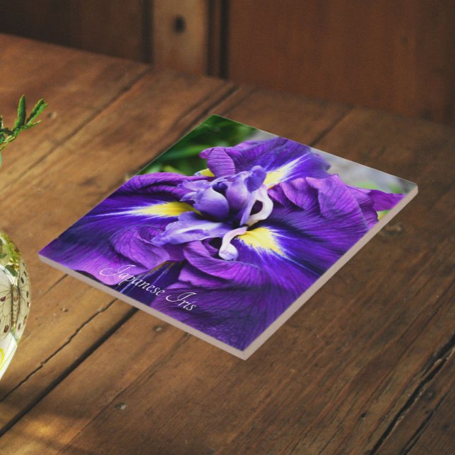 Purple Japanese Iris Bloom Floral Tile (In Situ)
