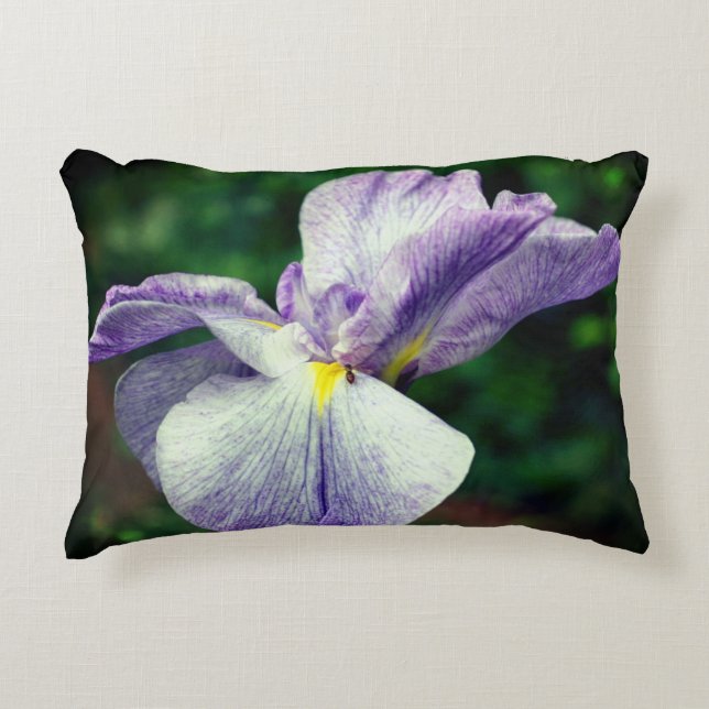 Purple Japanese Iris Flower Unfolding   Decorative Cushion (Front)