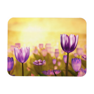 Purple Jubilee Flexible Magnet