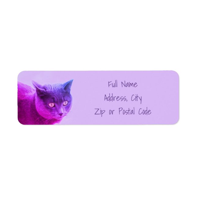 Purple Kitty Cat (Front)
