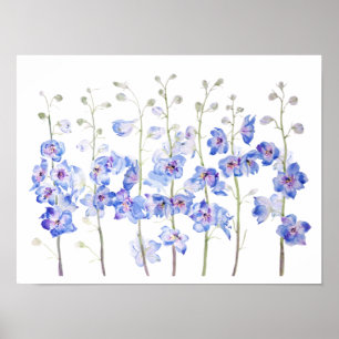 purple larkspur delphinium field watercolor poster