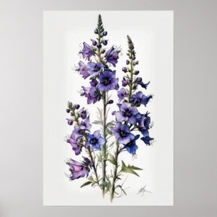 Purple Larkspur Flower Art Print Poster
