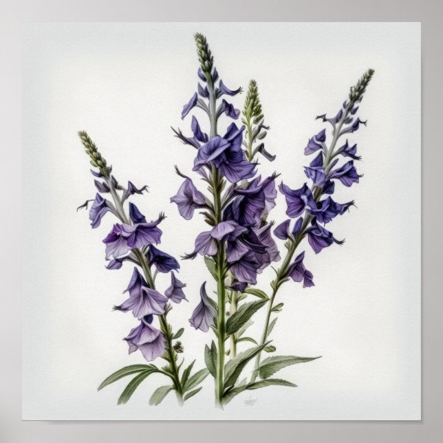Purple Larkspur Flower Art Print Poster (Front)