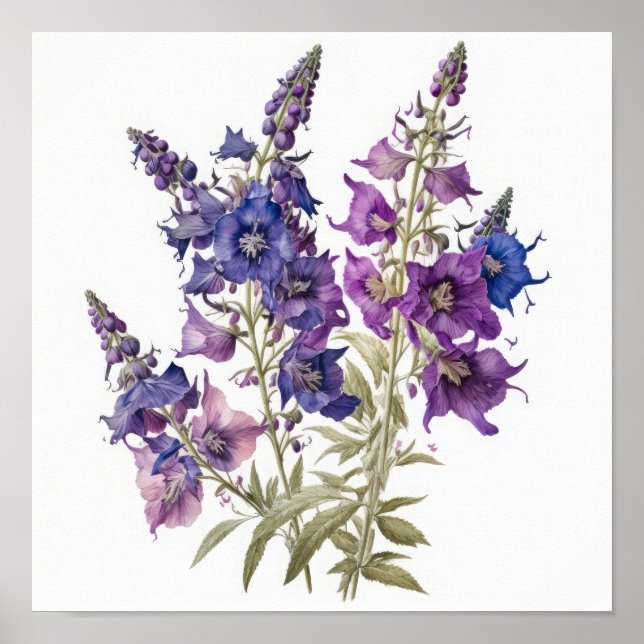 Purple Larkspur Flower Art Print Poster (Front)