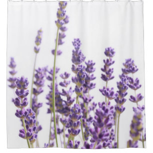 Purple Lavender #1 #decor #art Shower Curtain