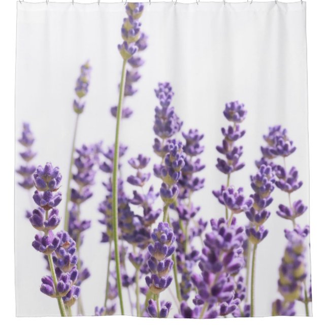 Purple Lavender #1 #decor #art Shower Curtain (Front)