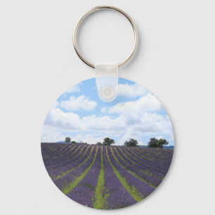 Purple lavender fields near Sault Key Ring
