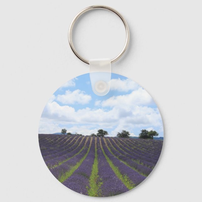 Purple lavender fields near Sault Key Ring (Front)