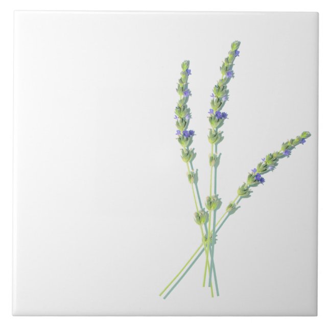 Purple Lavender Flower Flowers Tile (Front)