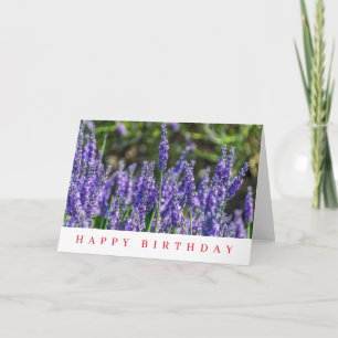 Purple lavender flowers birthday card