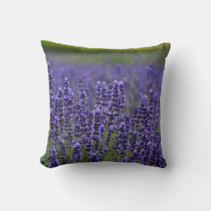Purple lavender flowers cushion