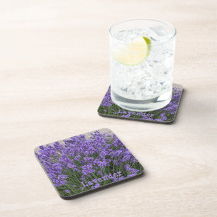 Purple Lavender Flowers Floral Coaster