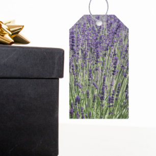 Purple Lavender Flowers Floral Gift Tags