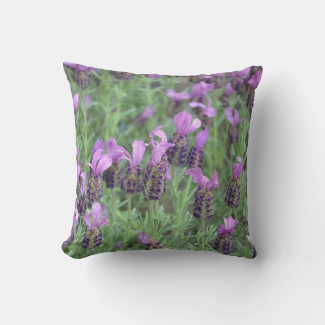 Purple lavender flowers throw pillow (Front)