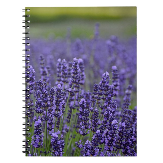 Purple lavender meadow spiral notebook (Front)