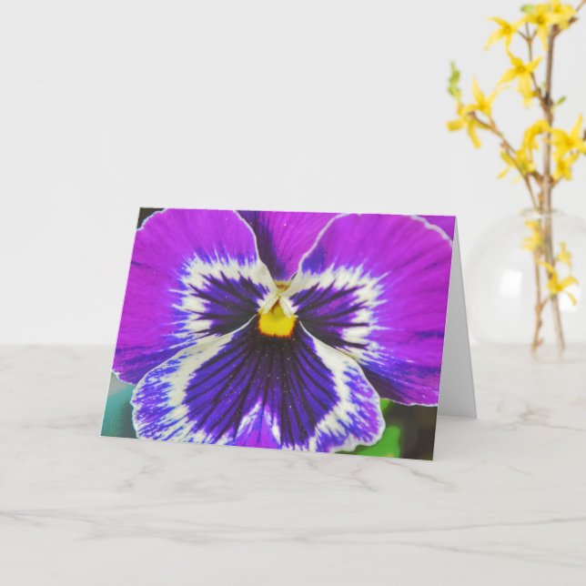 Purple Lavender Pansy Flower Art Note Card (Yellow Flower)