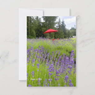 Purple Lavender , Red Umbrella Card