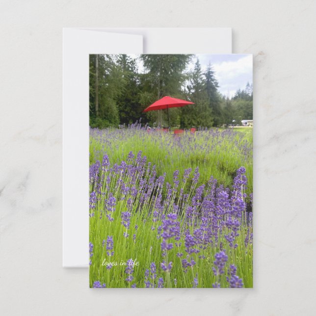 Purple Lavender , Red Umbrella Card (Front)