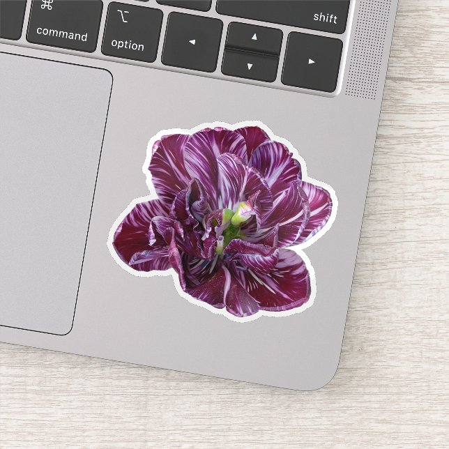 Purple Lavender Tulip Floral (Detail)