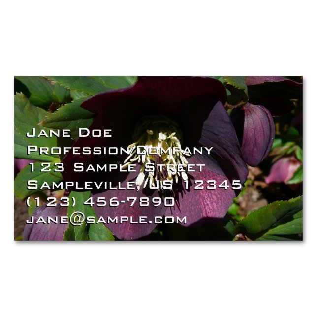 Purple Lenten Rose Easter Flower Magnetic Business Card (Front)