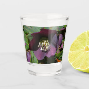 Purple Lenten Rose Shot Glass