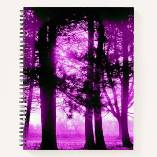Purple Light with Silhouette Trees Notebook