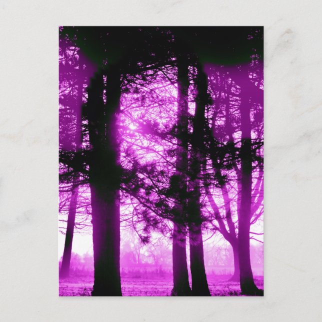 Purple Light with Silhouette Trees  Postcard (Front)