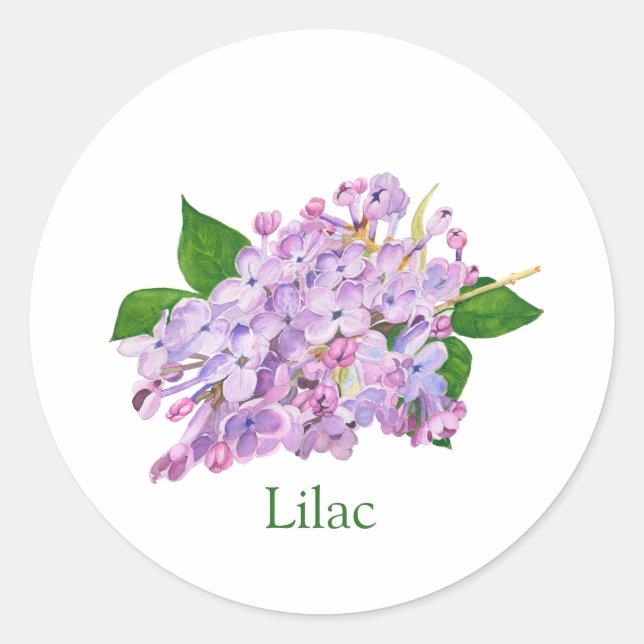 Purple lilac botanical watercolor classic round sticker (Front)