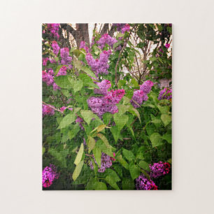 Purple Lilac Bush Jigsaw Puzzle