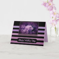 Purple Lilac Flowers and Stripes