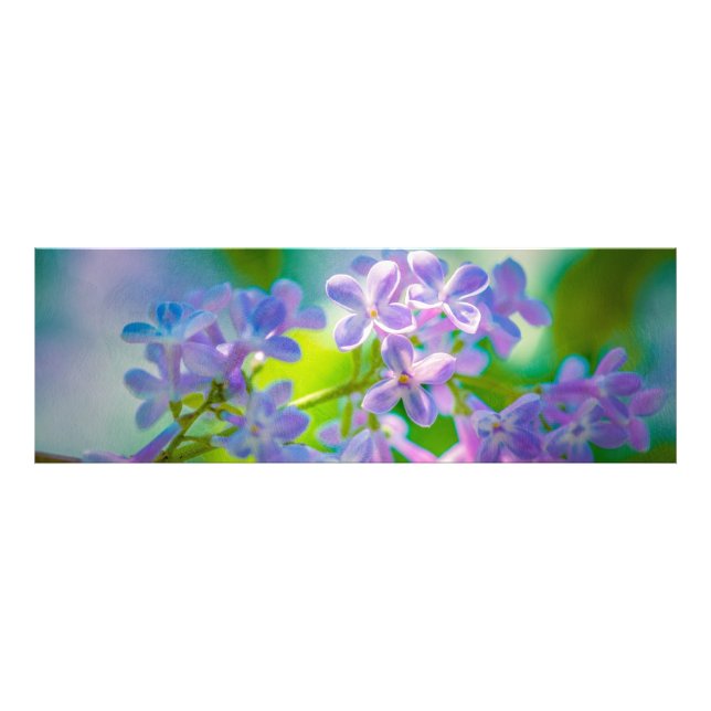 Purple Lilac Flowers Photo Print (Front)