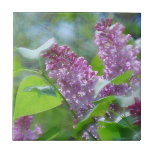 Purple Lilac Flowers Tile (Front)